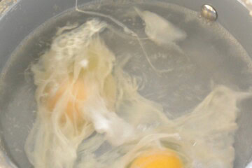 Poached egg in water