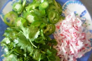 Cilantro and radishes