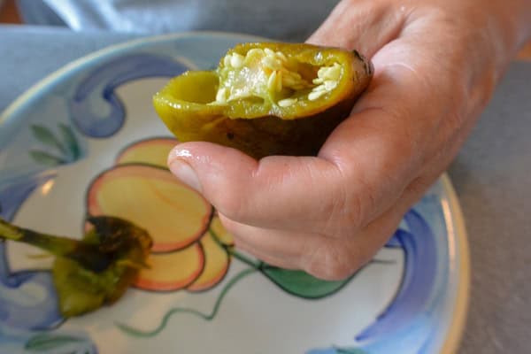Chile Rellenos