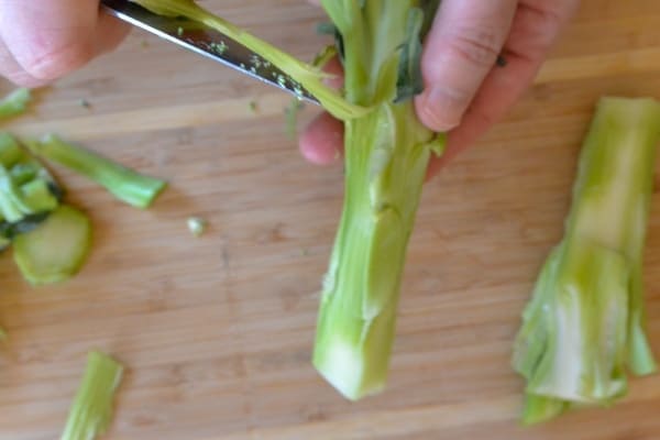 Chinese Broccoli Stir Fry Recipe