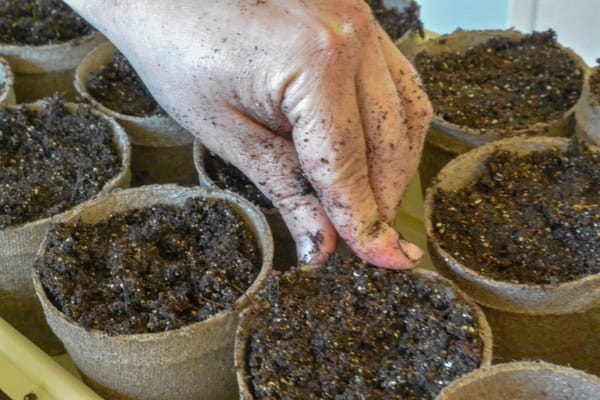 Adventures in Gardening