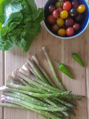 Asparagus Summer Salad