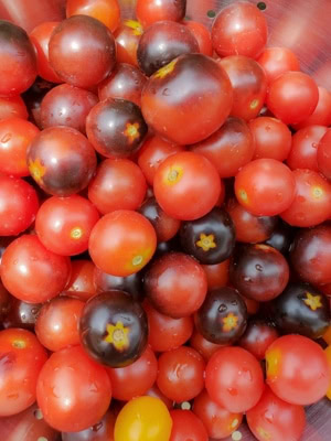 Homemade Cherry Tomato Sauce
Breakfast Bagel