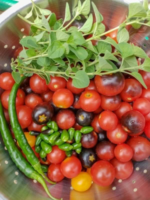 Homemade Cherry Tomato Sauce