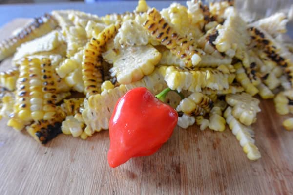 Spicy Grilled Corn Soup