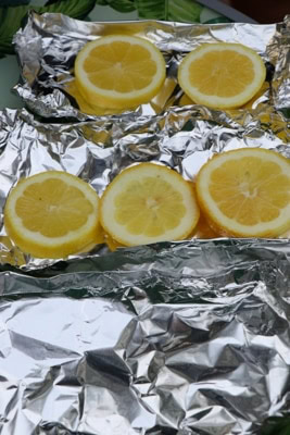 Grilled Salmon with Dill Sauce and Potatoes