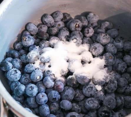 Blueberries with sugar