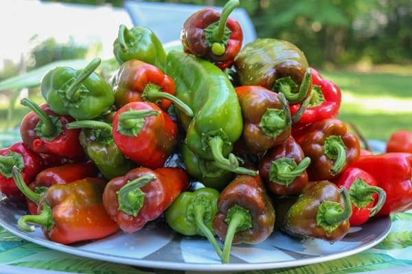 Roasted Peppers