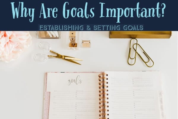 Why Are Goals Important? Establishing and setting goals