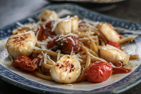 A plate of pasta with scallops and tomatoes