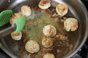 Seared Scallops with pasta and cherry tomato sauce