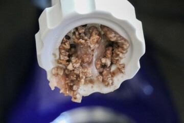 Ground Mushroom