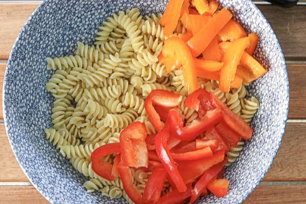 A bowl of pasta with tomatoes, peppers and other vegetables