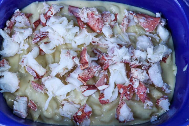 Lobster Mac and Cheese topped with lobster