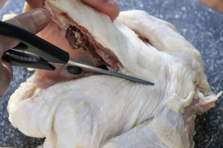 Spatchcocked Chicken with sissors