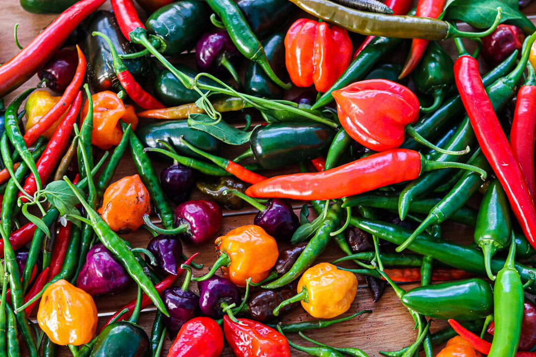 Peppers
