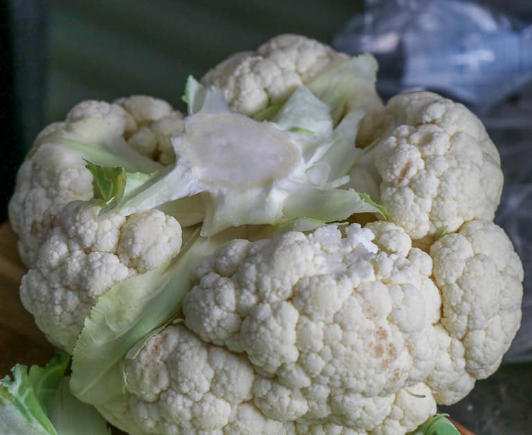 Head of Cauliflower 