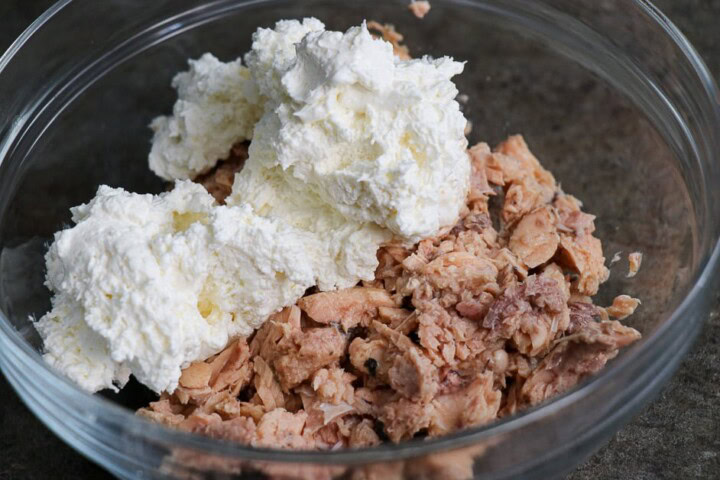 Salmon Mixture