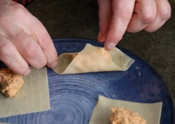 Folding Rangoons