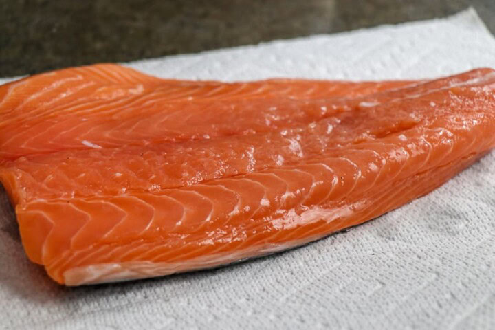 Salmon