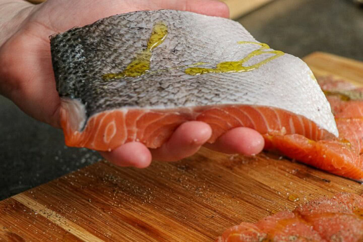 Salmon