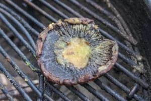 Jalapeno popper Grilled Portobello