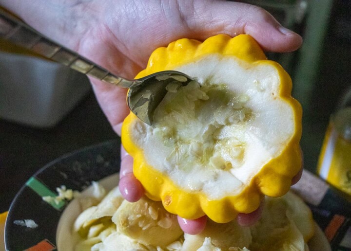Scooping out center of patty pan squash