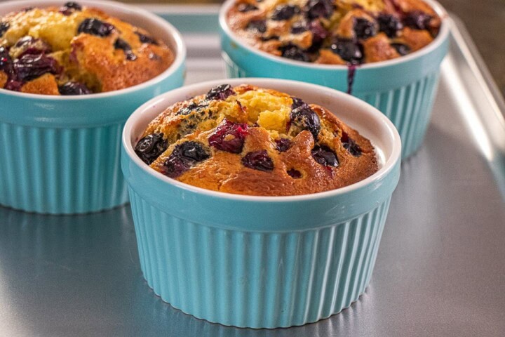 Cooked blueberry cake in ramekins