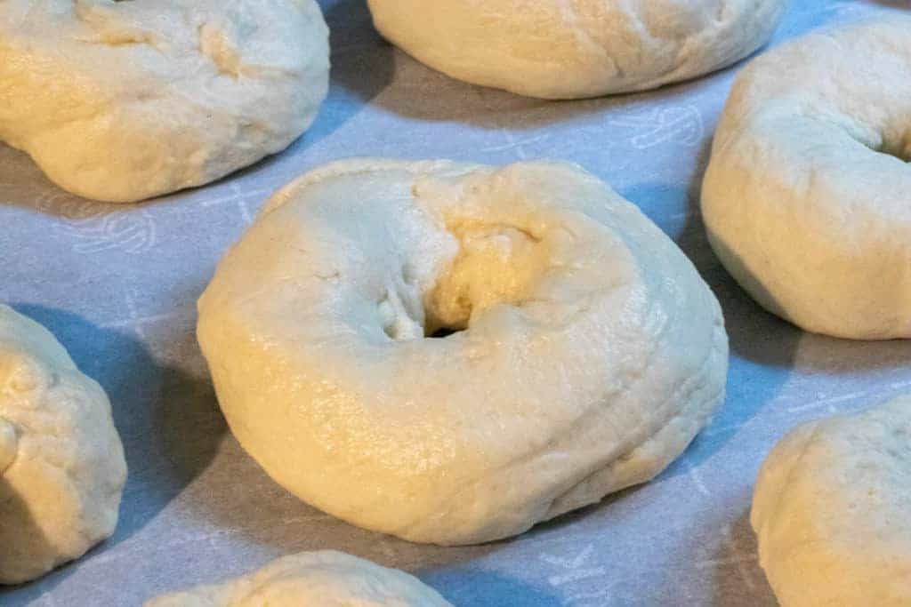 Bagel Recipe 
Homemade bagels recipe
homemade bagle recipe
Bagels recipe