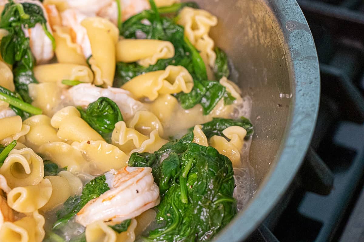 Lemon Pasta and Shrimp
Cottage Cheese