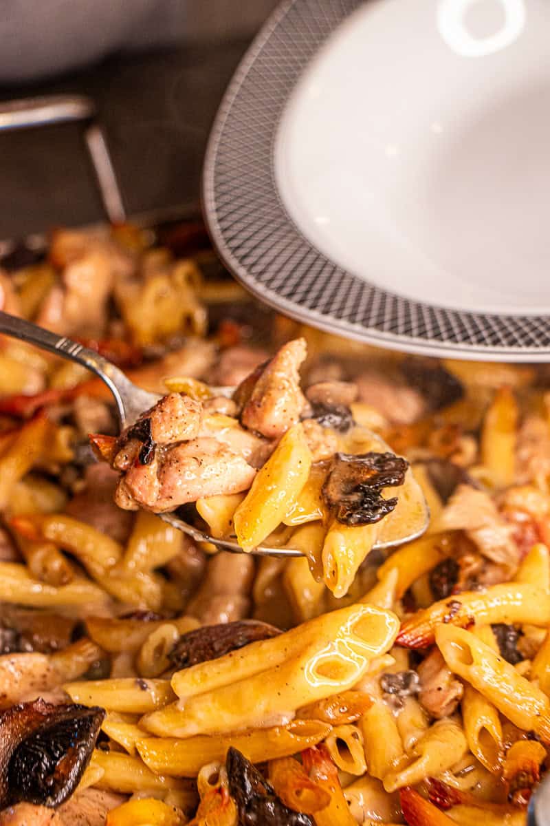 Chicken, mushrooms, pasta and sauce in roasting pan