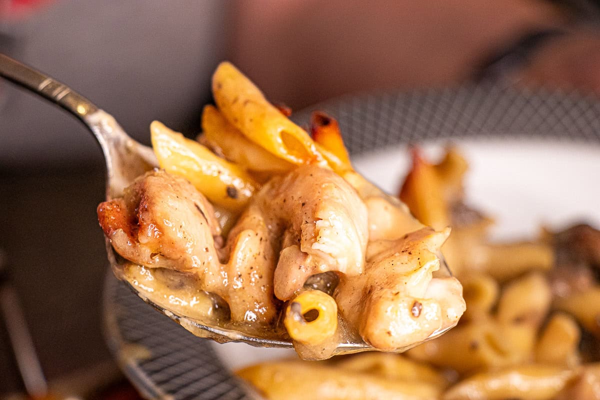 Chicken, mushrooms, pasta and sauce in roasting pan